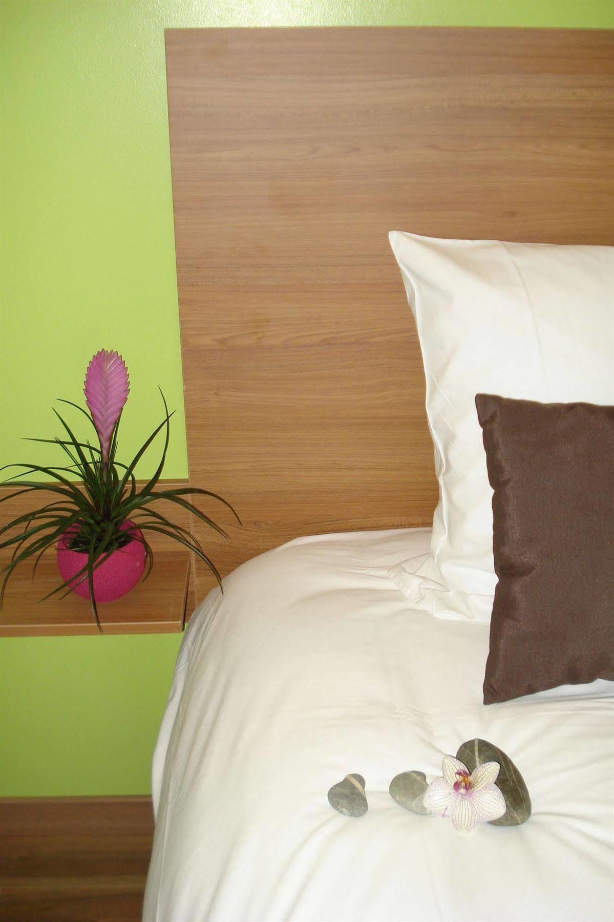 Hotel La Palmeraie Cornebarrieu Ngoại thất bức ảnh